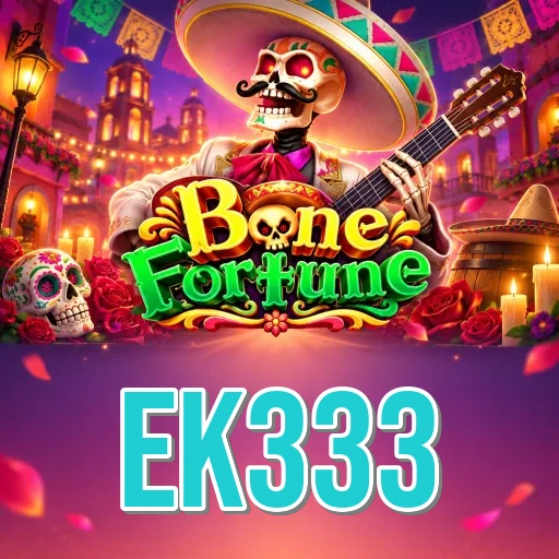 Screenshot 2 - ek333 Features